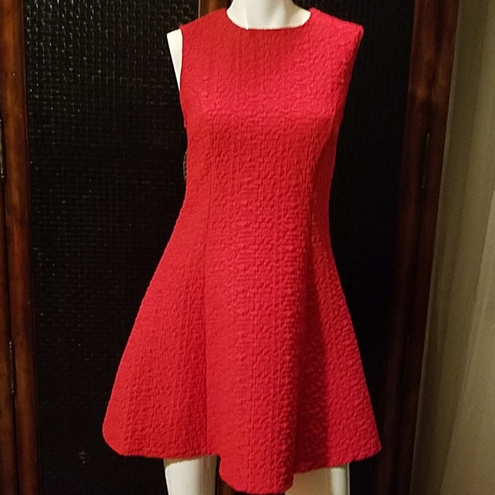 Zara Red Flare Dress